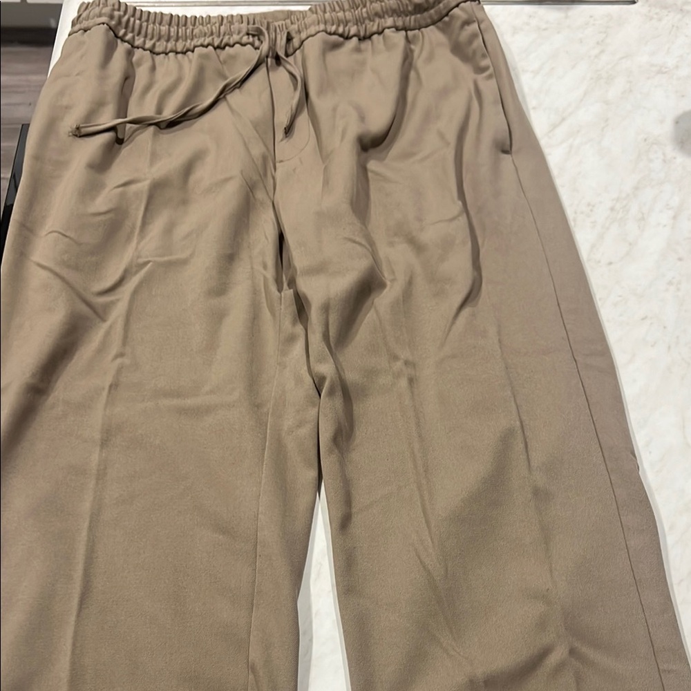 Zara Tan Chinos for Men